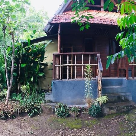 Echo Alam Nusa Lodge Ped Exteriér fotografie