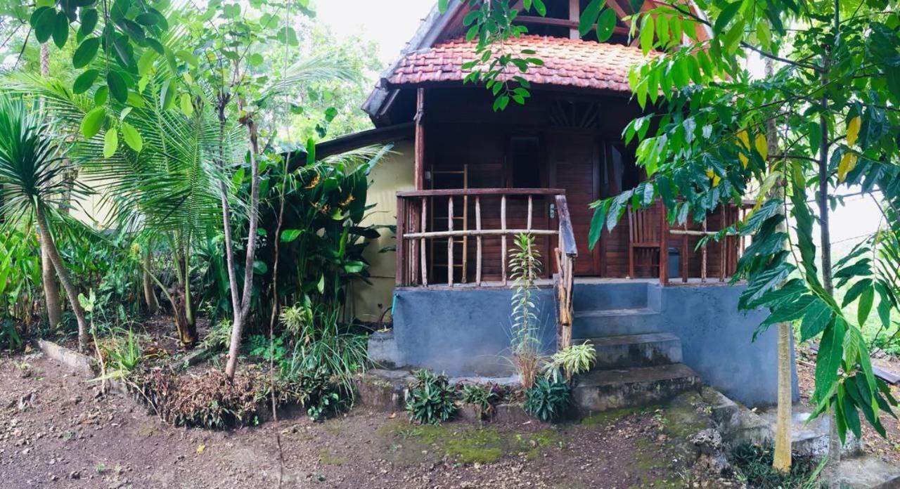 Echo Alam Nusa Lodge Ped Exteriér fotografie