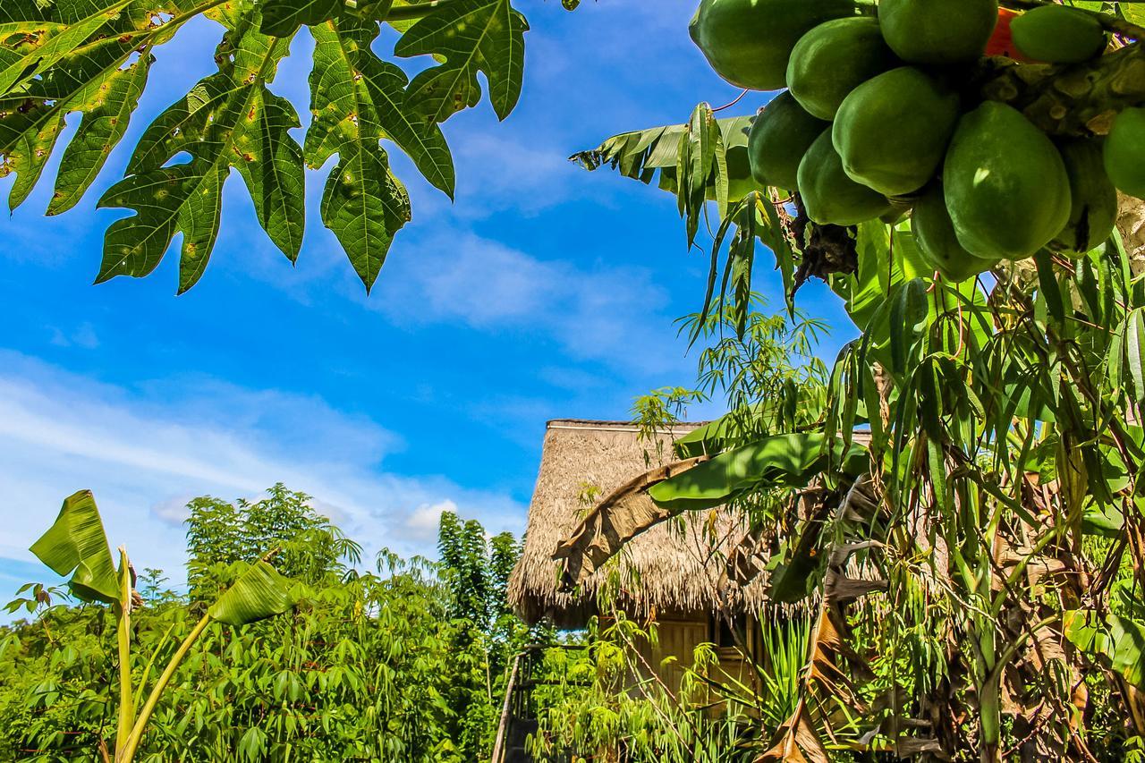 Echo Alam Nusa Lodge Ped Exteriér fotografie