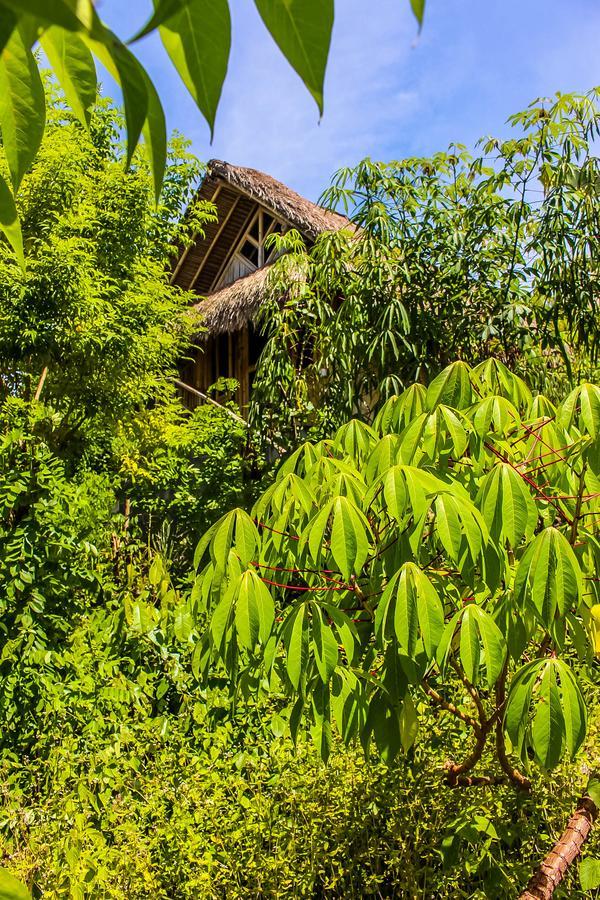 Echo Alam Nusa Lodge Ped Exteriér fotografie